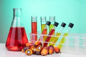 differences between palm oil and palm kernel oil